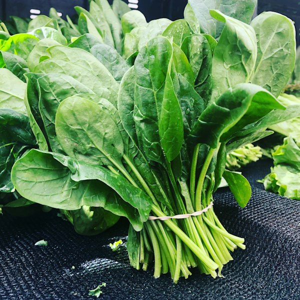 Baby Spinach at MOD Pizza