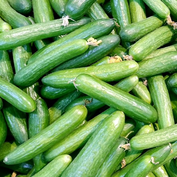 Crisp Diced Cucumbers at MOD Pizza